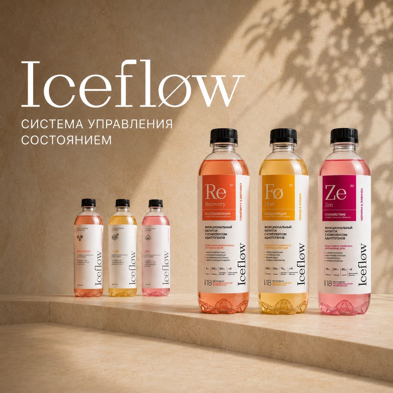 IceFlow ��������� � ��������������� ���������� �������